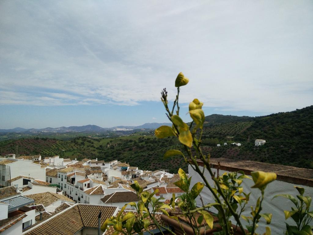 Bed and Breakfast Los Cazadores Эль-Гастор Экстерьер фото